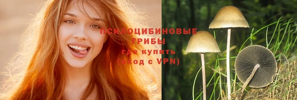 кокс Абаза