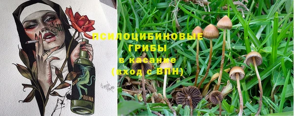 кокаин Абинск