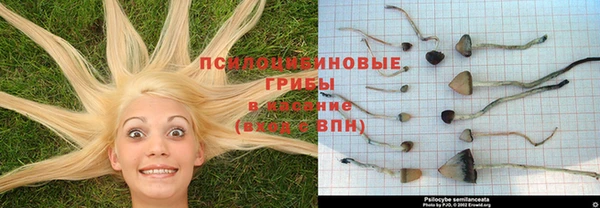 кокаин Абинск